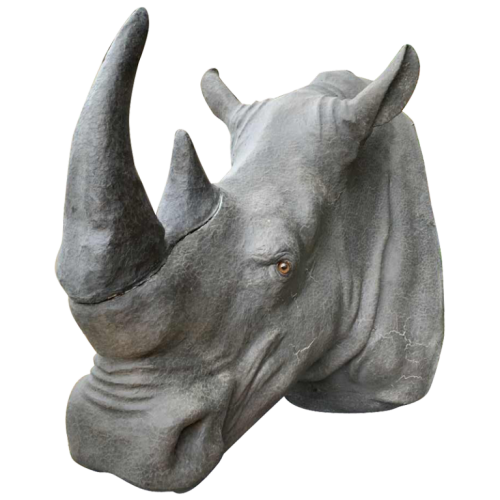 Real Size RHINOCEROS Trophy (120 cm) Polyester and Plaster, Replica Taxidermy 1980s