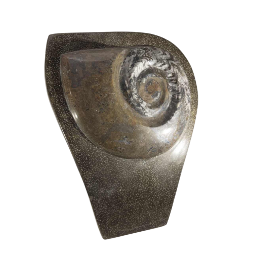 Ammonite, large fossil sculpture, 53 cm